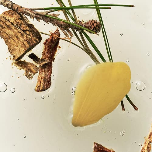 Botanical Extracts